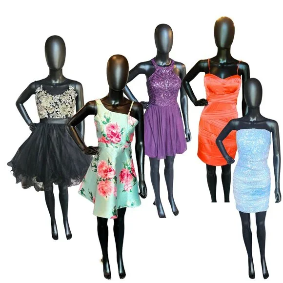 HOCO 2025 Dresses - MAKE ME AN OFFER - Homecoming, Party, Cocktail, Bodycon - Picture 3 of 3